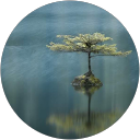 SG profile picture